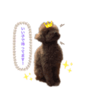 ☆ジジの日常☆（個別スタンプ：5）