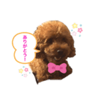☆ジジの日常☆（個別スタンプ：8）