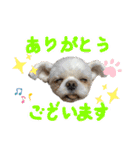 暴れん坊犬 なな＆ルカ 1（個別スタンプ：6）