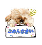 暴れん坊犬 なな＆ルカ 1（個別スタンプ：7）