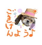 暴れん坊犬 なな＆ルカ 1（個別スタンプ：8）