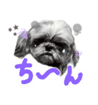 暴れん坊犬 なな＆ルカ 1（個別スタンプ：10）