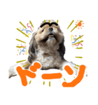 暴れん坊犬 なな＆ルカ 1（個別スタンプ：12）