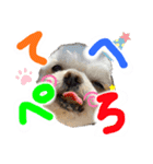 暴れん坊犬 なな＆ルカ 1（個別スタンプ：13）