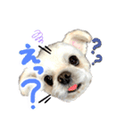 暴れん坊犬 なな＆ルカ 1（個別スタンプ：15）