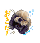 暴れん坊犬 なな＆ルカ 1（個別スタンプ：16）