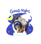 シリウス兄貴（個別スタンプ：3）