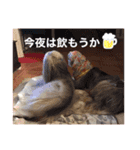 シリウス兄貴（個別スタンプ：8）
