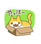 こなみやの猫（個別スタンプ：12）