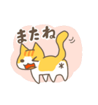 こなみやの猫（個別スタンプ：13）