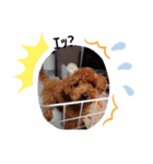 Nun第二（個別スタンプ：1）