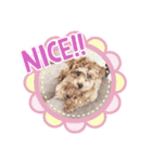 Nun第二（個別スタンプ：4）