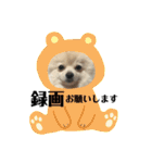 Yamamoto imoko（個別スタンプ：22）