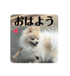 Yamamoto imoko（個別スタンプ：26）