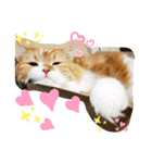cute anzu booya（個別スタンプ：8）