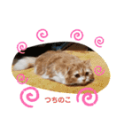 cute anzu booya（個別スタンプ：10）