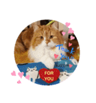 cute anzu booya（個別スタンプ：11）