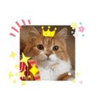 cute anzu booya（個別スタンプ：28）