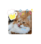 cute anzu booya（個別スタンプ：29）