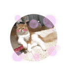 cute anzu booya（個別スタンプ：31）