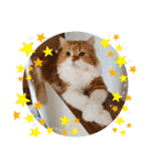 cute anzu booya（個別スタンプ：34）
