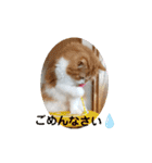 cute anzu booya（個別スタンプ：38）