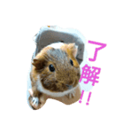 みたらち1（個別スタンプ：3）