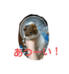 みたらち1（個別スタンプ：8）