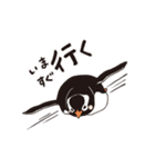 ペンギン図鑑（個別スタンプ：1）