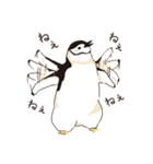ペンギン図鑑（個別スタンプ：17）