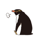 ペンギン図鑑（個別スタンプ：20）