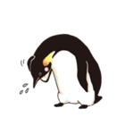 ペンギン図鑑（個別スタンプ：21）