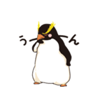 ペンギン図鑑（個別スタンプ：32）