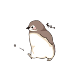 ペンギン図鑑（個別スタンプ：34）