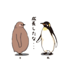 ペンギン図鑑（個別スタンプ：37）