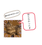 ピノにゃんスタンプ（個別スタンプ：13）