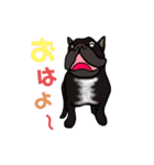 フレブルサスケと愛しのBUHIたち（個別スタンプ：2）