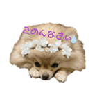 夢さんの毎日（個別スタンプ：7）