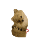 夢さんの毎日（個別スタンプ：29）
