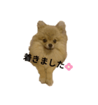 夢さんの毎日（個別スタンプ：32）