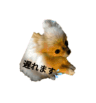 夢さんの毎日（個別スタンプ：33）