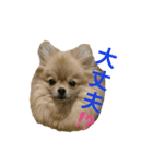 夢さんの毎日（個別スタンプ：35）