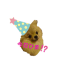 夢さんの毎日（個別スタンプ：37）