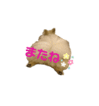 夢さんの毎日（個別スタンプ：38）