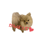 夢さんの毎日（個別スタンプ：39）