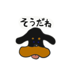 愛犬スタンプ ミニチュアダックスフント（個別スタンプ：1）