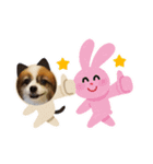 ロッキー夏（個別スタンプ：1）