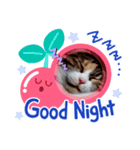 にゃんニャンにゃんこ（個別スタンプ：1）
