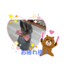 たまにポッケ（個別スタンプ：8）