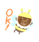 とらじ0725（個別スタンプ：11）